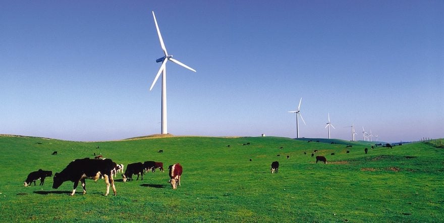 مزرعة رياح كودرينغتون في ولاية فيكتوريا الأسترالية 