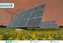 Photo of أكثر الدول الأفريقية امتلاكًا لسعة الطاقة الشمسية العاملة.. هيمنة عربية (تقرير)