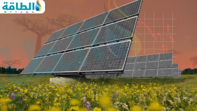 Photo of أكثر الدول الأفريقية امتلاكًا لسعة الطاقة الشمسية العاملة.. هيمنة عربية (تقرير)