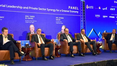 Photo of تصنيع الألواح الشمسية في مصر بمكون محلي 90%