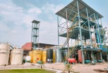 Photo of ثورة جينية تدعم إنتاج الوقود الحيوي.. بكتيريا تتغذى على الهيدروجين