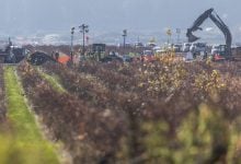 Photo of بي بي البريطانية تفشل في تحديد مصدر تسرب أنبوب "أولمبيك".. تفاصيل جديدة