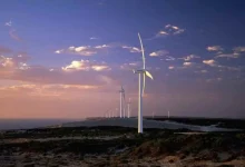 Photo of طاقة الرياح في أستراليا تحقق قفزة.. هل تقود لاستضافة كوب 31؟