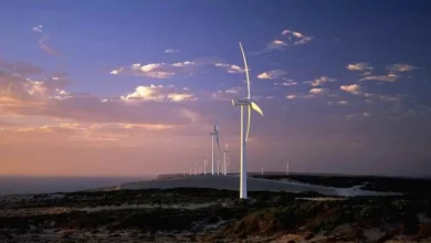 Photo of طاقة الرياح في أستراليا تحقق قفزة.. هل تقود لاستضافة كوب 31؟