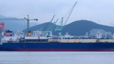 Photo of شحنة غاز مسال نادرة تمرّ من البحر الأحمر.. أين تتجه؟