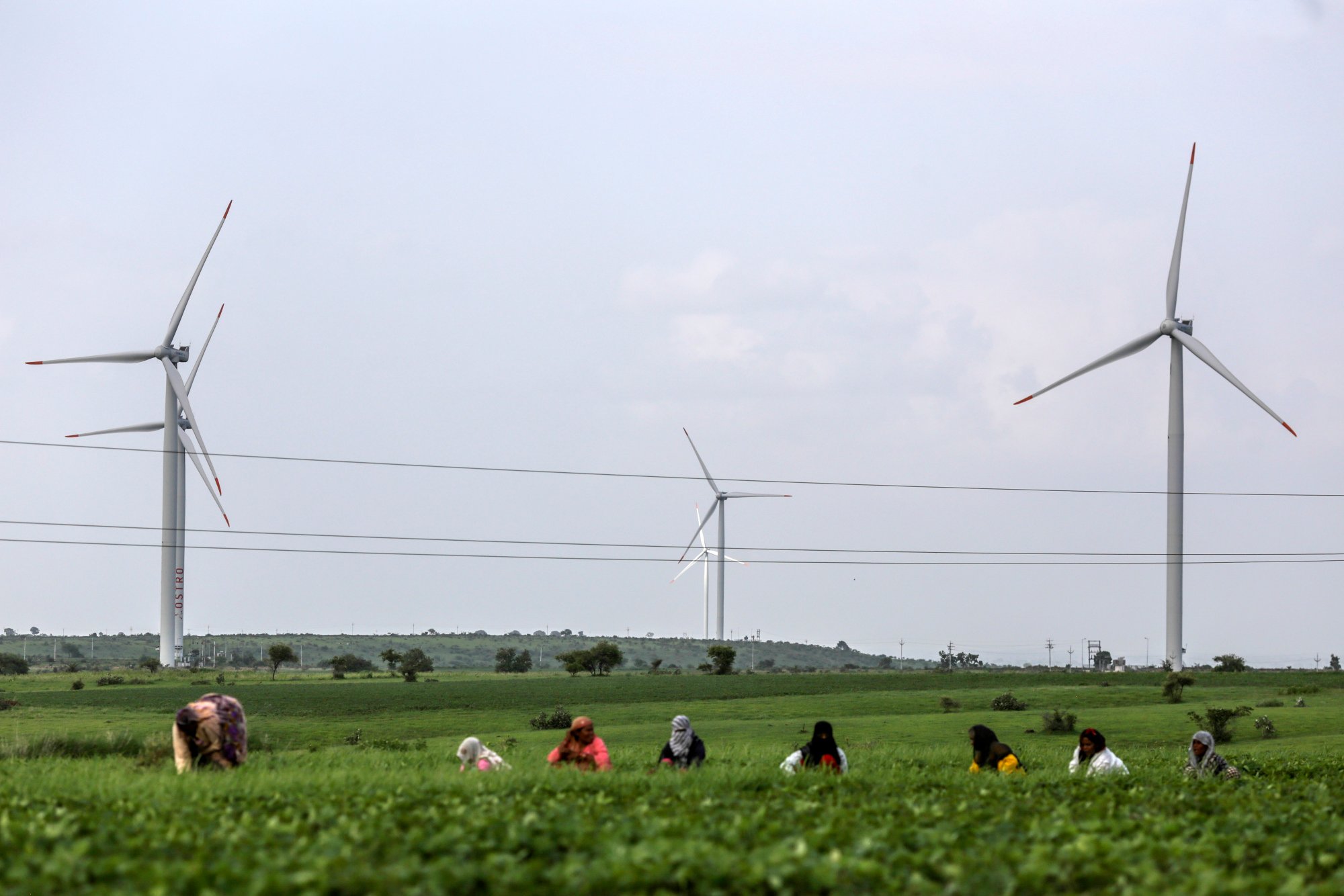 مزرعة الرياح أوسترو إنرجي الخاصة في مدينة لاهوري بولاية ماديا براديش الهندية