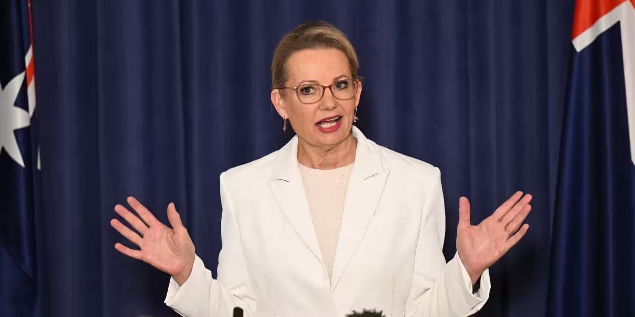 زعيمة الحزب الليبرالي سوزان لي - الصورة من