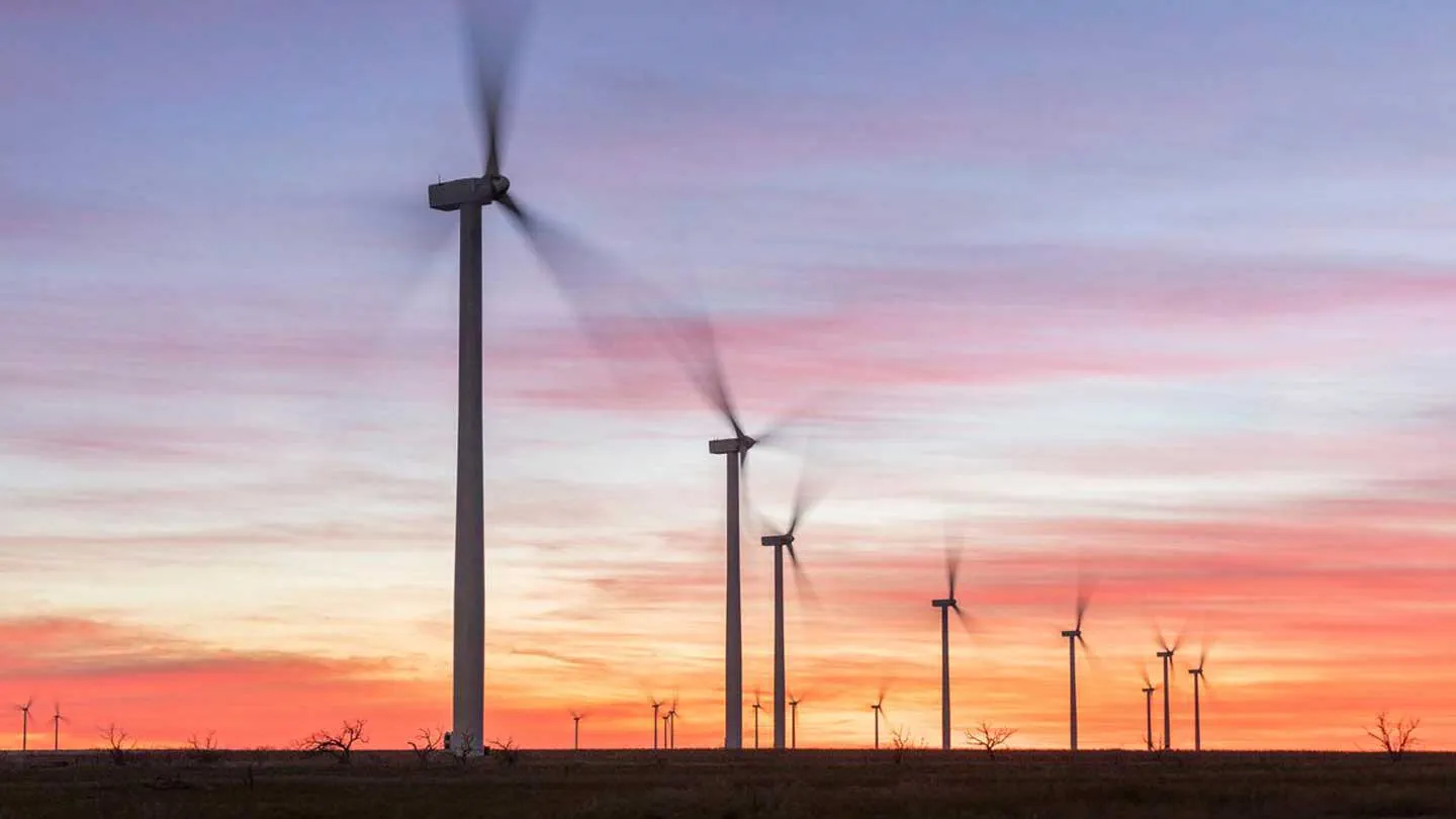 مزرعة رياح برية في ولاية تكساس الأميركية