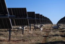 Photo of الطاقة الشمسية وتخزين الكهرباء بولاية تكساس تواجهان عراقيل فيدرالية (تقرير)