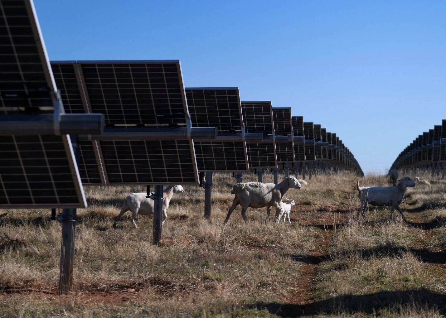 الطاقة الشمسية وتخزين الكهرباء