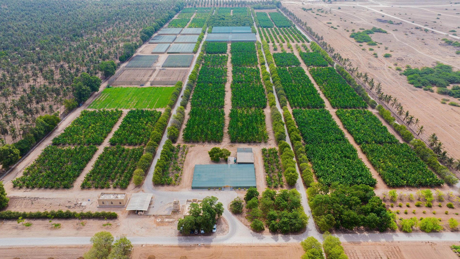 الحياد الكربوني في سلطنة عمان