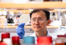 Photo of استخلاص المعادن الأرضية النادرة بتقنية مبتكرة.. كلمة السر "فيروس"