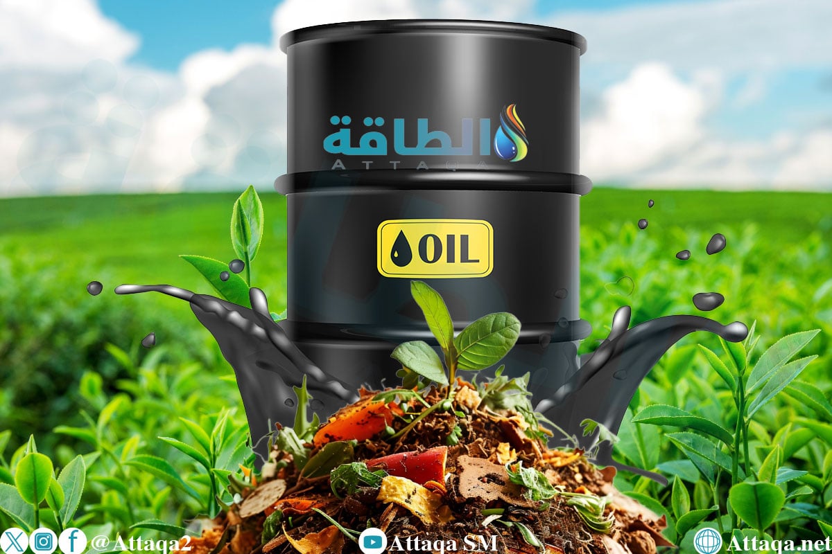 تقنية مصرية لاستخلاص النفط من المخلفات الزراعية