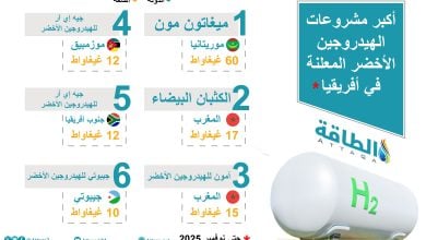 Photo of أكبر مشروعات الهيدروجين الأخضر في أفريقيا.. سيطرة عربية (إنفوغرافيك)