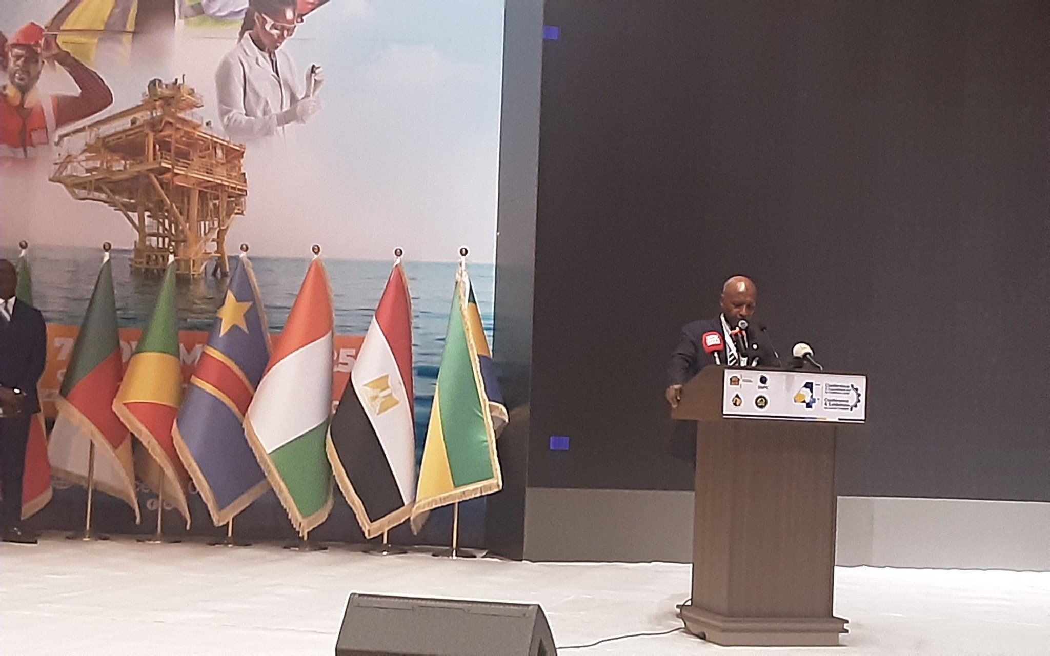 جانب من فعاليات الدورة العادية الـ48 للمجلس الوزاري لمنظمة الدول الأفريقية المنتجة للنفط- الصورة من وزارة الطاقة الجزائرية