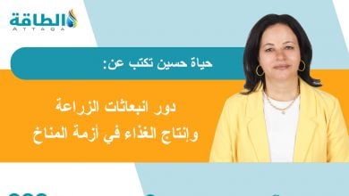 Photo of علاج تغير المناخ بنكهة نشارة الخشب (مقال)