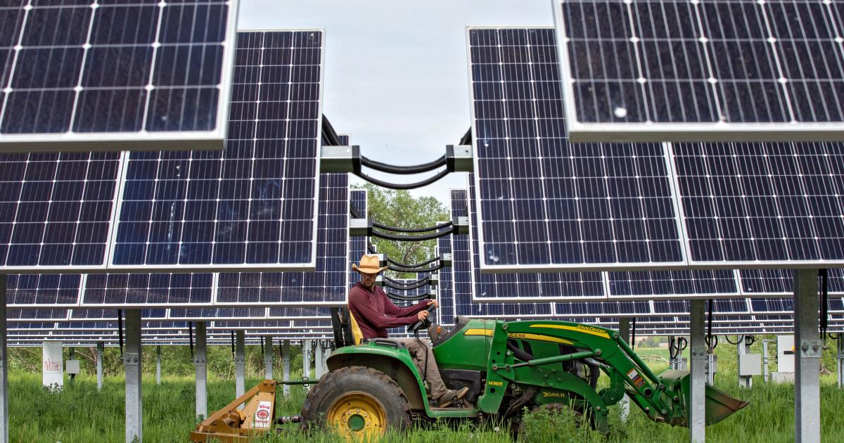 مزرعة سولار غاردن الشمسية في بلدة لونغمونت بولاية كولورادو