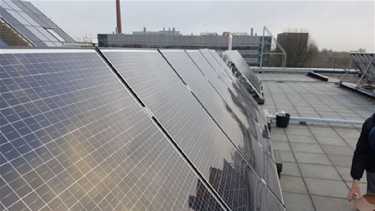 اختبار ميداني لخلايا ألواح طاقة شمسية تعمل بتقنية الاتصال الخلفي 