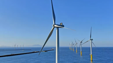 Photo of طاقة الرياح البحرية في اليابان.. دعم القطاع يتطلب إعادة هيكلة المزادات (تقرير)