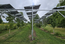 Photo of تركيب ألواح الطاقة الشمسية بالأراضي الزراعية يواجه تحديات في كندا (تقرير)