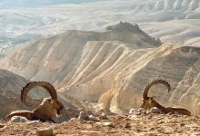 Photo of وادي الهيدروجين في صحراء النقب.. ماذا تعرف عن مشروع إسرائيل؟