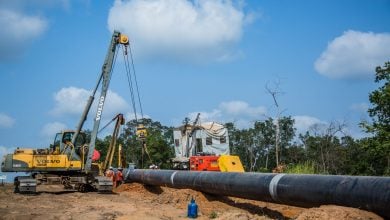 Photo of تطور جديد بخط غاز نيجيري يحيي آمال المغرب والجزائر