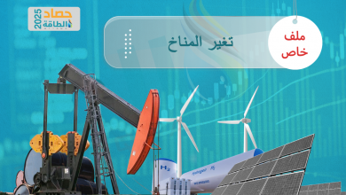 Photo of محطات تغير المناخ في 2025.. تحولات تاريخية والجفاف يضرب دولًا عربية