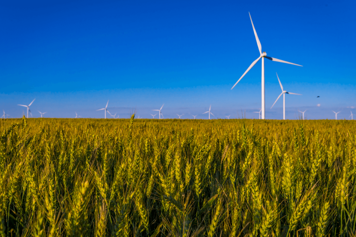 توربينات رياح