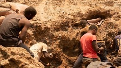 Photo of علاقات الطاقة بين روسيا وأفريقيا.. كنوز المعادن الحيوية في المقدمة (تقرير)