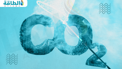 Photo of التقاط الكربون من الهواء بتقنية "سكر النبات".. تكلفة أقل 40%