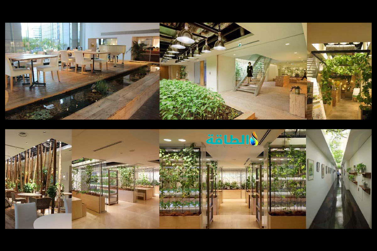 نماذج من المباني الخضراء المُصممة لخفض الانبعاثات الكربونية