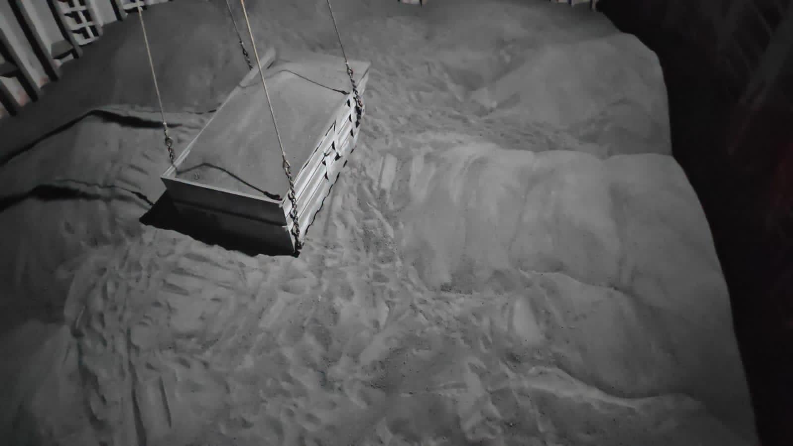 تصدير أول شحنة من فحم البترول المكلس- الصورة من وزارة قطاع الأعمال المصرية