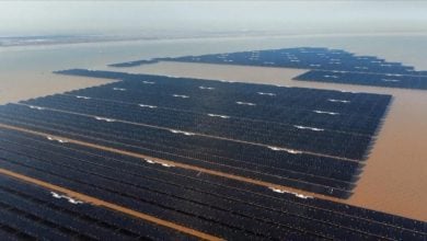 Photo of ربط أكبر مشروع طاقة شمسية بحرية عالميًا بشبكة الكهرباء (فيديو)
