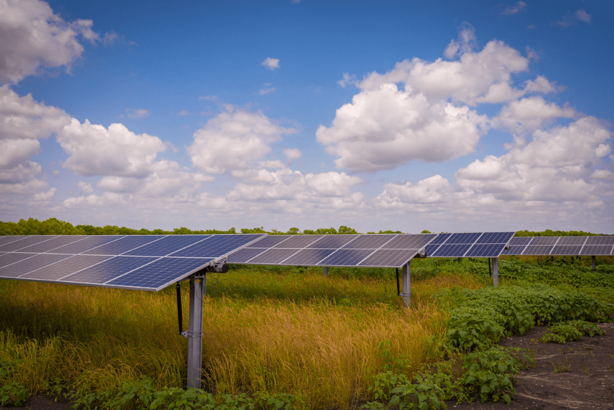 ألواح شمسية