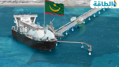 Photo of صادرات موريتانيا من الغاز المسال تدخل مصر لأول مرة (حصري)