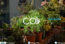 Photo of خفض الانبعاثات الكربونية ضمن أهداف دراسة مصرية جديدة