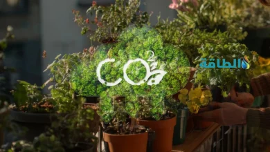 Photo of خفض الانبعاثات الكربونية ضمن أهداف دراسة مصرية جديدة