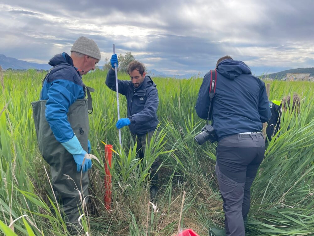 مستنقعات الملح في محمية بانتان الخاصة في كرواتيا