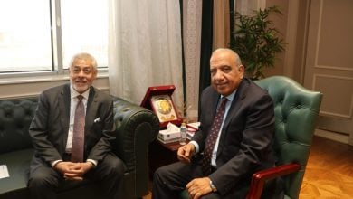 Photo of محطة أبيدوس 2 للطاقة الشمسية في مصر تقترب من التشغيل بشراكة إماراتية