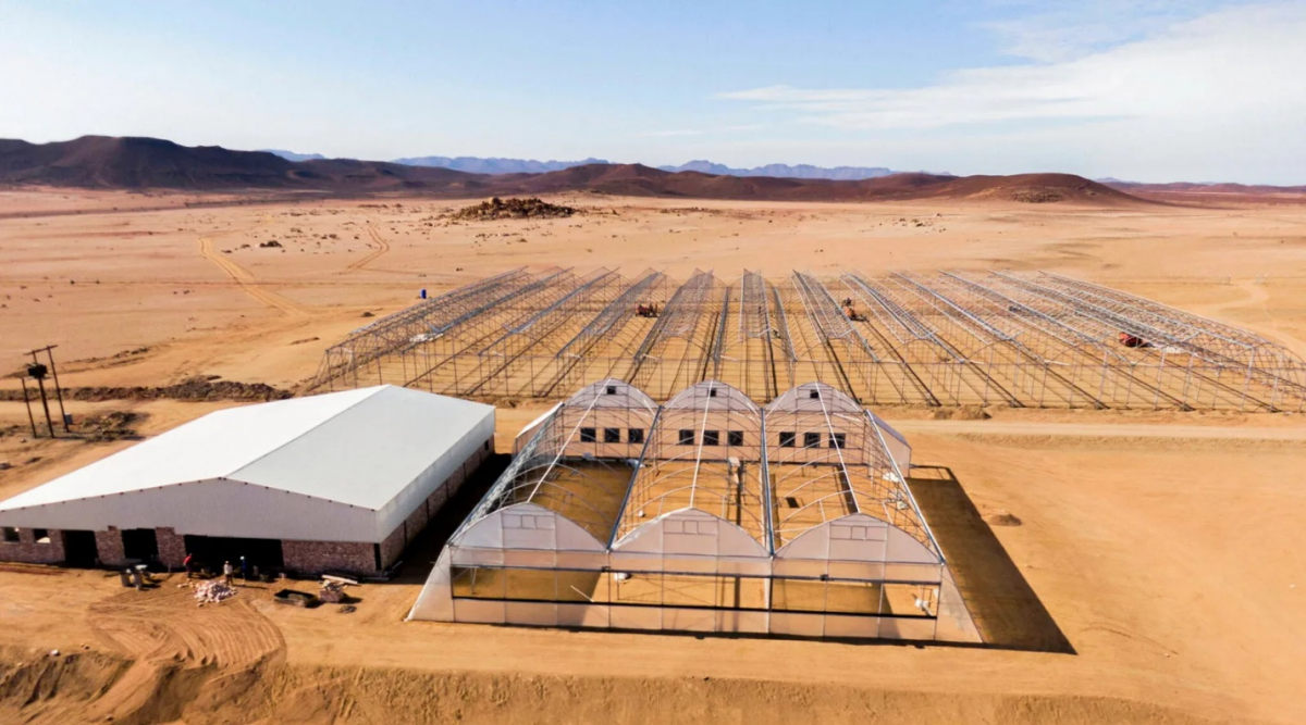 عمليات بناء البيوت الزجاجية بقرية دوريس للهيدروجين الأخضر في ناميبيا 