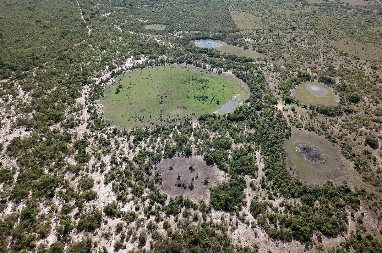 دوائر الجن في البرازيل