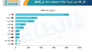 Photo of أكثر 10 دول عربية امتلاكًا لاحتياطيات الغاز في 2025 (إنفوغرافيك)