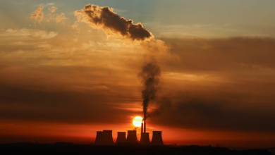 Photo of كيف يسهم ثاني أكسيد الكربون في اخضرار الأرض وزيادة المحاصيل؟ تقرير يكشف مفاجأة