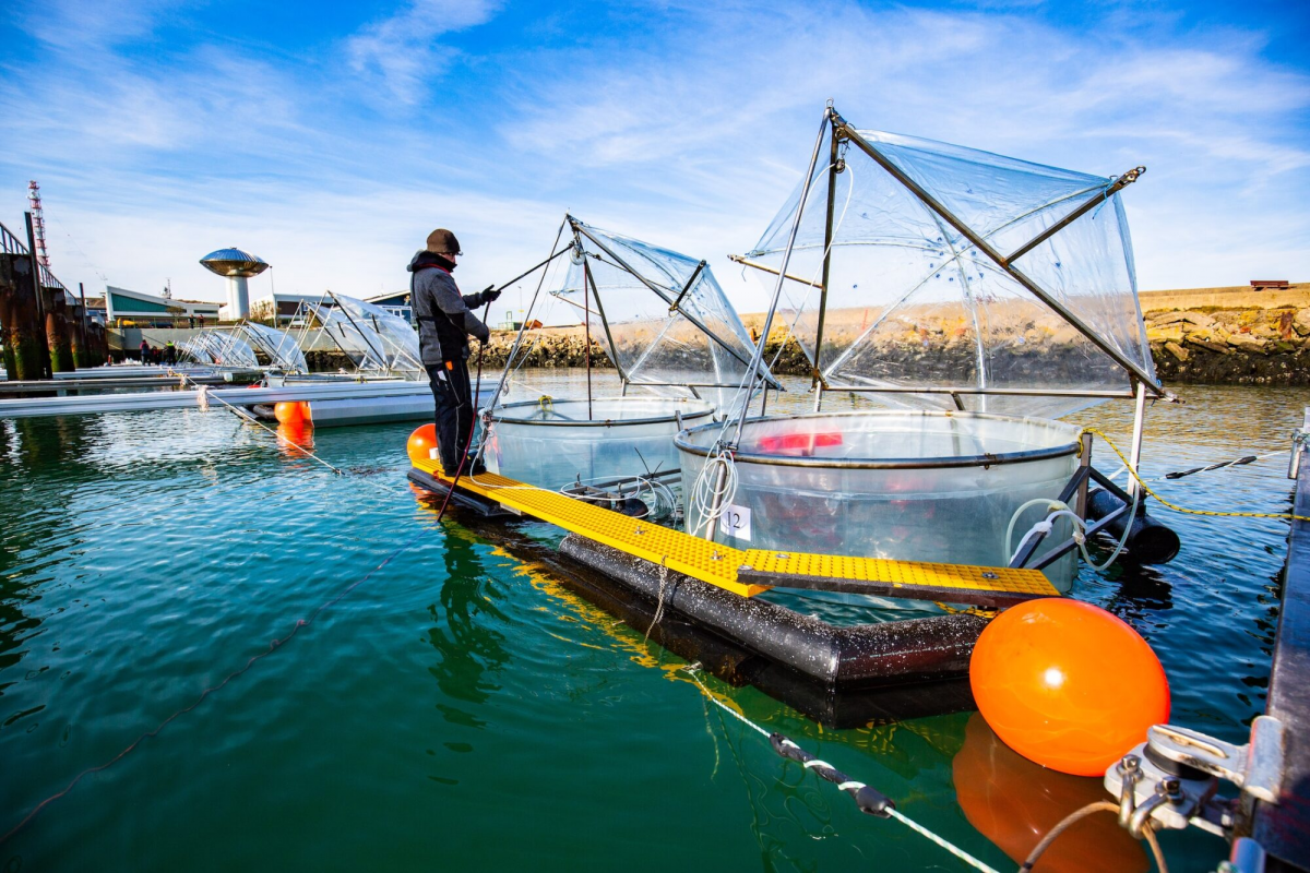 محطة لإزالة ثاني أكسيد الكربون في جزيرة هيليغولاند بألمانيا
