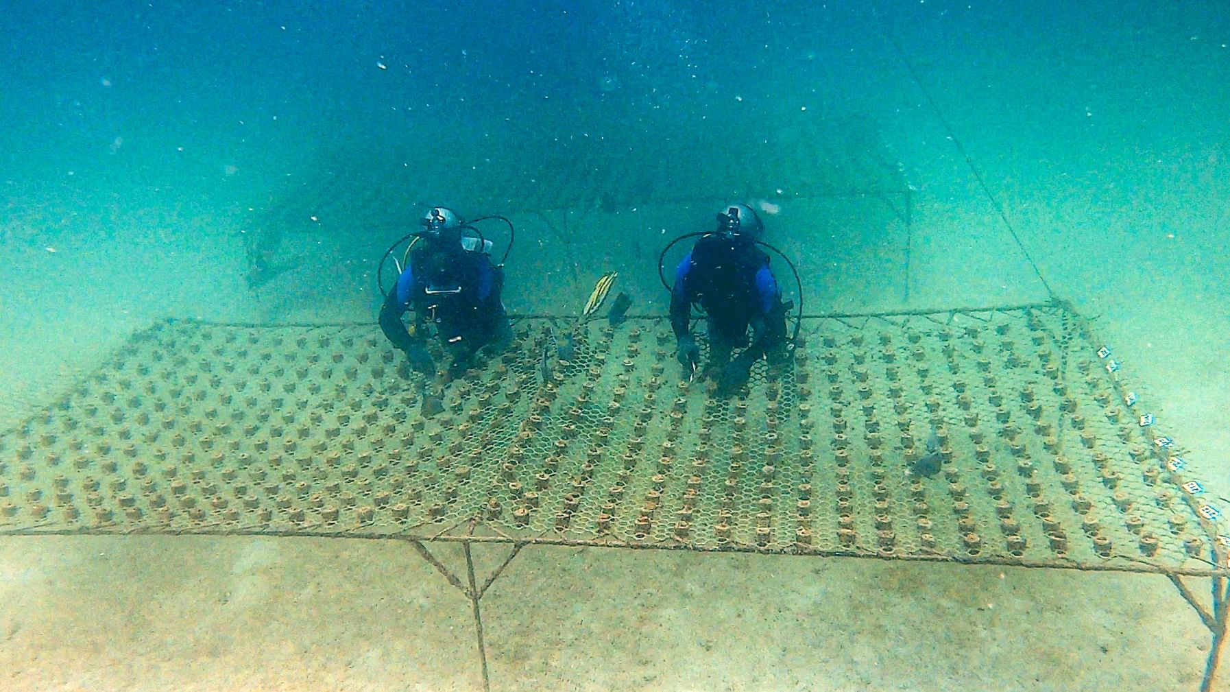 أحد مشروعات الحماية البيئة في الإمارات