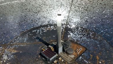 Photo of الطاقة النظيفة في الإمارات خلال 2025.. مشروعات ضخمة تدعم التحول الأخضر