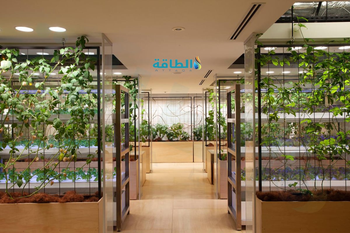 مباني مجهزة بغطاء أخضر لخفض الانبعاثات الكربونية