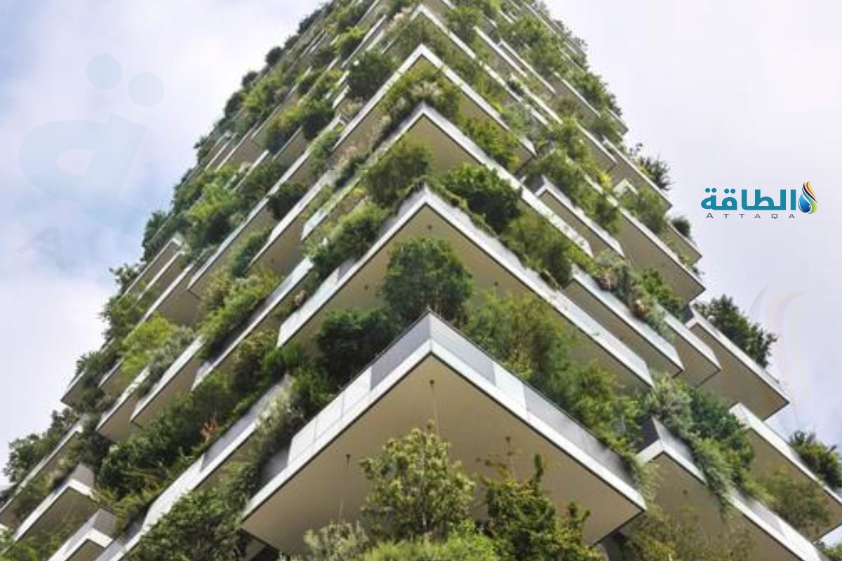 الزراعة دون تربة في العمارة 