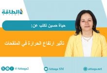 Photo of هل تنقذ ريحاناتي النحل من تغير المناخ؟ (مقال)