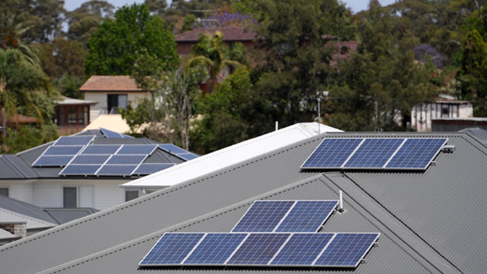 ألواح شمسية على أسطح منازل شمال غرب مدينة سيدني